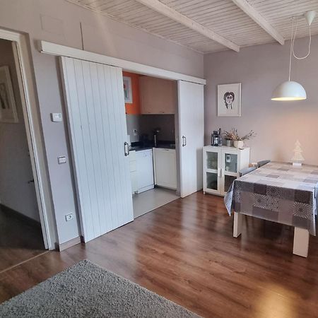Apartment Sant Francesc Olot Zewnętrze zdjęcie