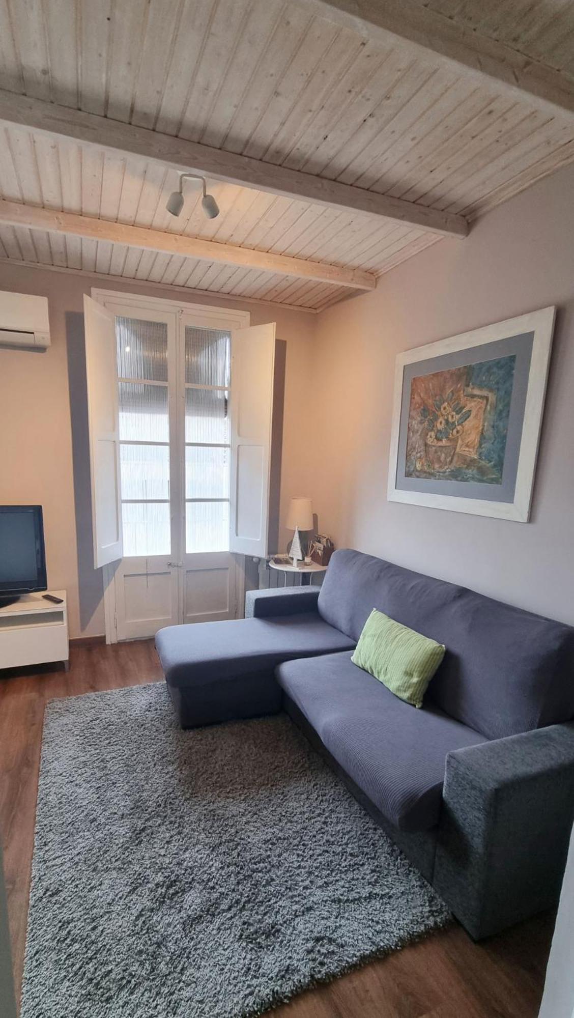 Apartment Sant Francesc Olot Zewnętrze zdjęcie