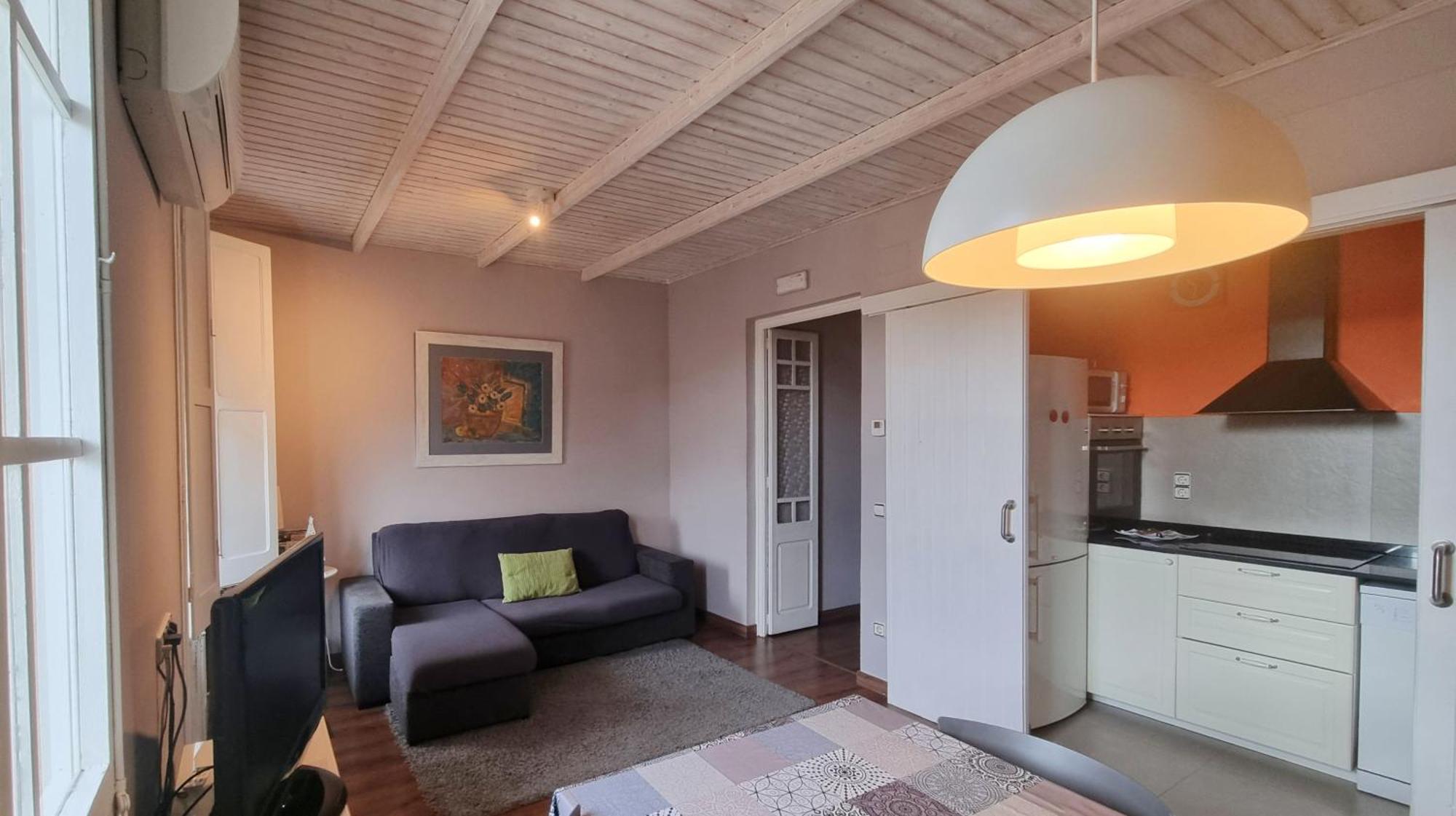 Apartment Sant Francesc Olot Zewnętrze zdjęcie